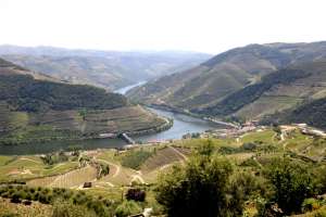  • <em>Das Dourotal in Portugal ist ein grosses und bekanntes Weinanbaugebiet in Portugal<em>