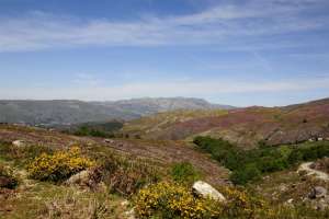  • <em>Der Nationalpark Peneda Gerec in Portugal im Frühjahr<em>