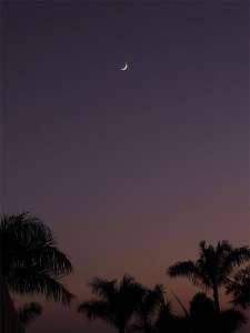  • <em>Der Abendhimmel auf Teneriffa mit Mondsichel<em>
