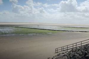  • <em>Das Wattenmeer Amrum bietet Weite und Erholung<em>